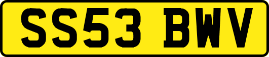 SS53BWV