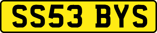 SS53BYS