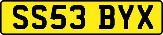 SS53BYX