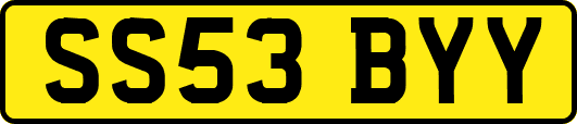 SS53BYY