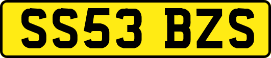 SS53BZS