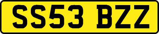 SS53BZZ