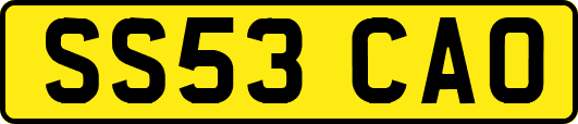 SS53CAO