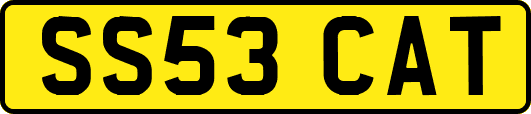SS53CAT