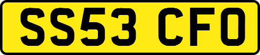 SS53CFO