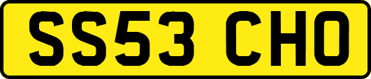 SS53CHO