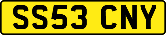 SS53CNY