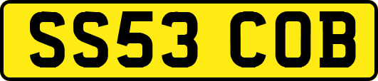 SS53COB