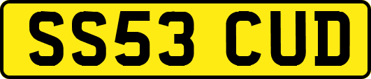 SS53CUD