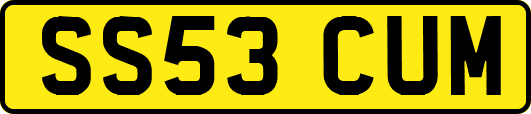 SS53CUM