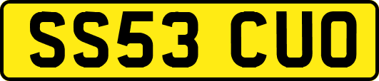 SS53CUO