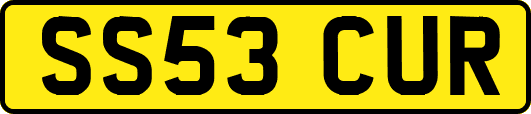 SS53CUR