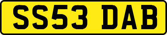 SS53DAB