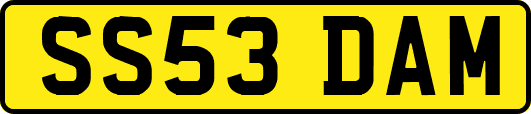 SS53DAM