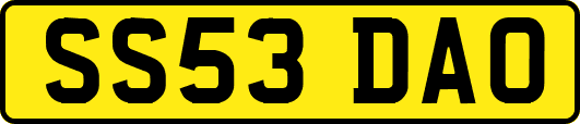 SS53DAO