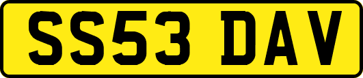 SS53DAV