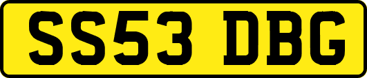 SS53DBG