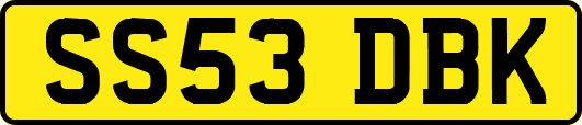 SS53DBK