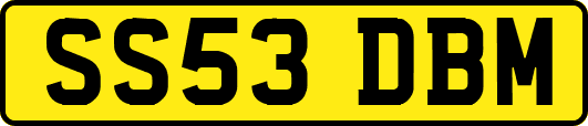 SS53DBM