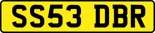 SS53DBR