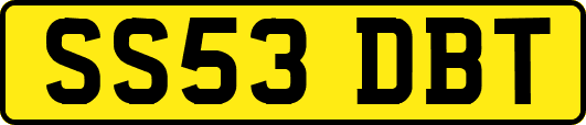 SS53DBT