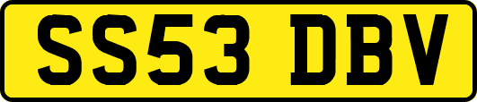 SS53DBV