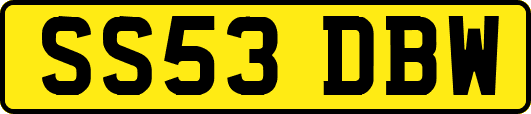 SS53DBW