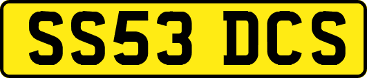 SS53DCS