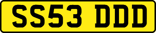 SS53DDD