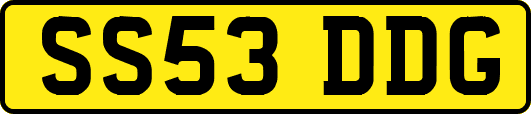SS53DDG