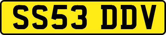 SS53DDV