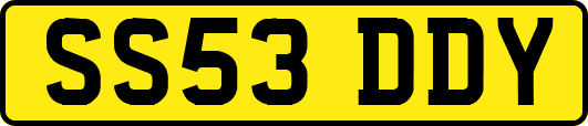 SS53DDY