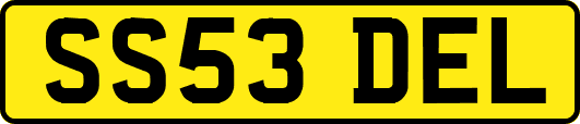 SS53DEL