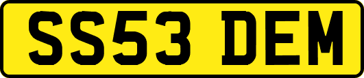 SS53DEM