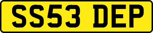 SS53DEP