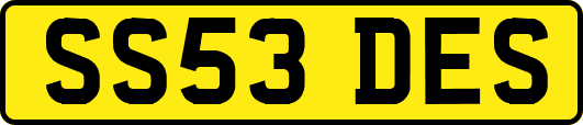 SS53DES