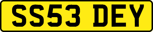 SS53DEY