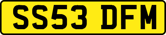 SS53DFM