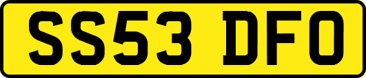 SS53DFO