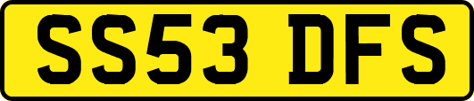 SS53DFS