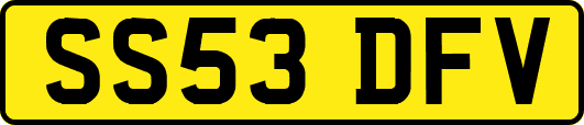 SS53DFV