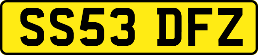 SS53DFZ