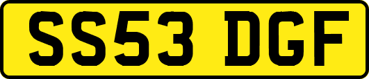 SS53DGF