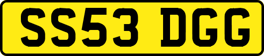 SS53DGG