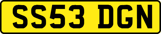 SS53DGN