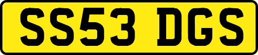 SS53DGS