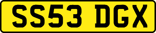 SS53DGX