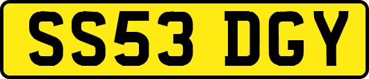 SS53DGY
