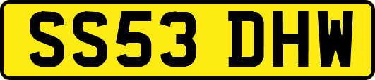 SS53DHW