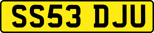 SS53DJU